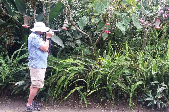 private-tour-to-mindo-with-hummingbird-reserve-tarabita-and-butterfly-farm