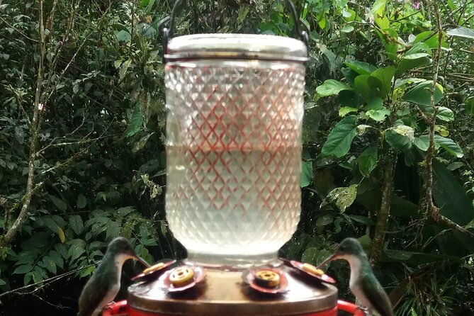 private-tour-to-mindo-with-hummingbird-reserve-tarabita-and-butterfly-farm