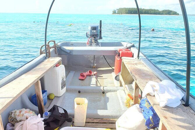 Private Tour to Mnemba Island with Lunch - The Allure of Mnemba Island: A Natural Wonder