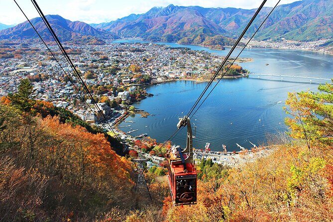 Private tour to Mount Fuji and Hakone from Tokyo - The Comfort and Convenience of Private Transportation
