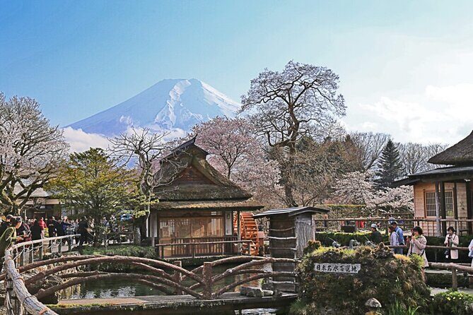 Private tour to Mount Fuji and Hakone from Tokyo - What the Tour Includes and Excludes  