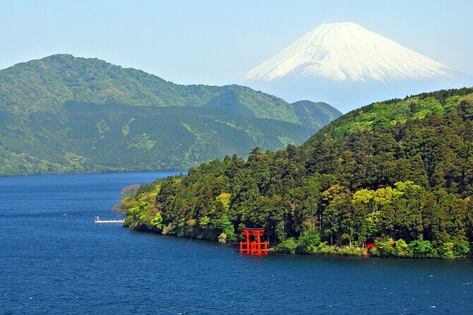 Private tour to Mount Fuji and Hakone from Tokyo - Authentic Experiences and Traveler Insights  