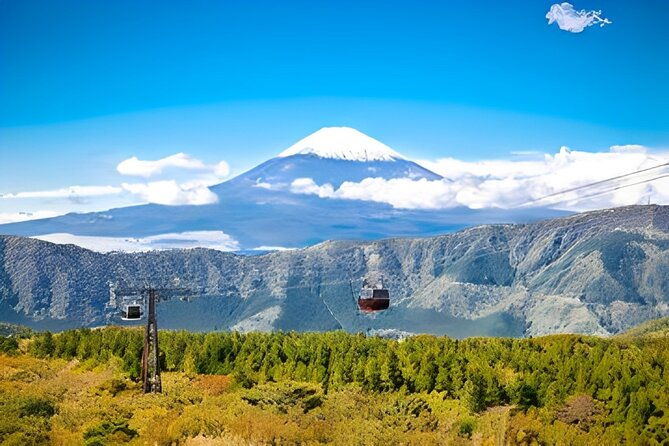 private-tour-to-mount-fuji-hakone-with-english-speaking-guide
