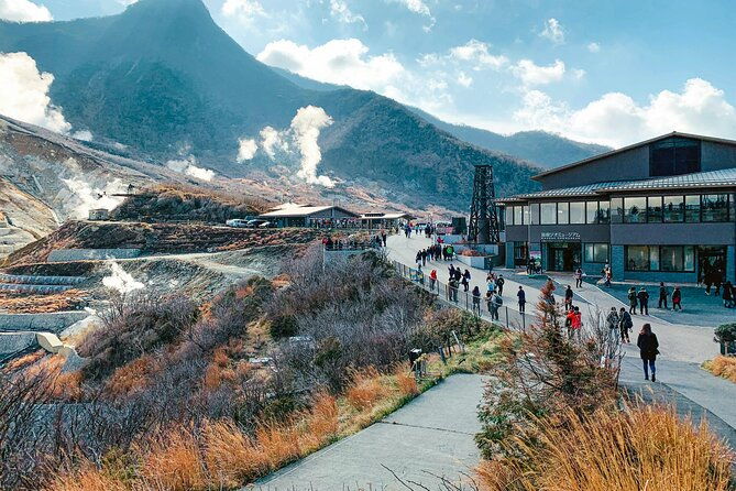 private-tour-to-mount-fuji-hakone-with-english-speaking-guide