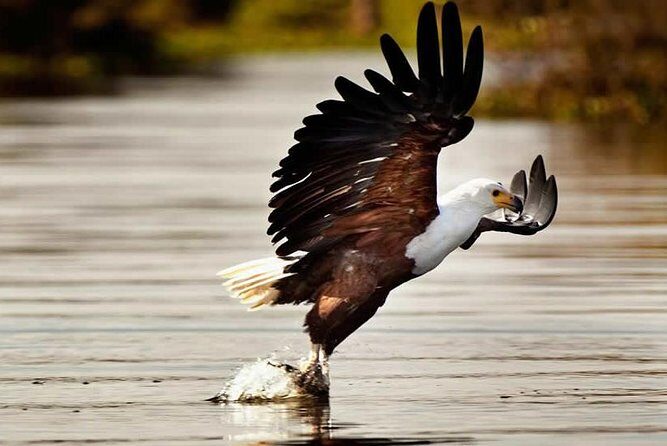 Private Tour to Mount Longonot and Optional Boat Ride on Lake Naivasha - Exploring the Itinerary in Detail