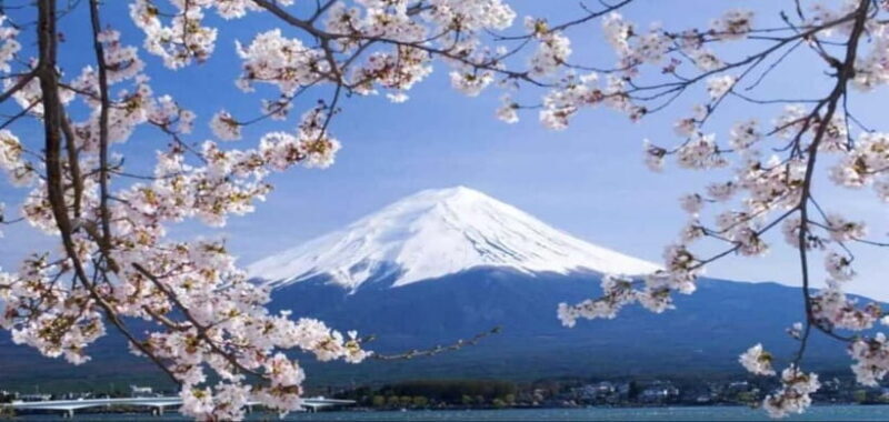 Private Tour to Mt Fuji and Hakone with English Driver - Key Points