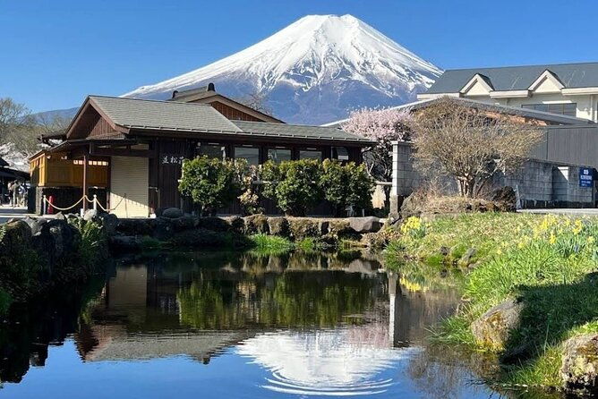 private-tour-to-mt-fuji-and-hakone-with-english-speaking-driver-2