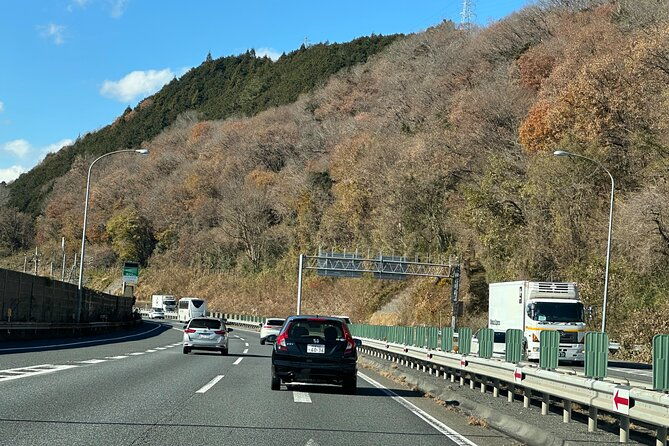 private-tour-to-mt-fuji-and-hakone-with-english-speaking-driver-2