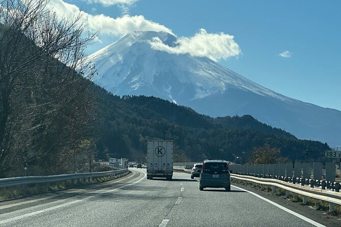 private-tour-to-mt-fuji-and-hakone-with-english-speaking-driver-2