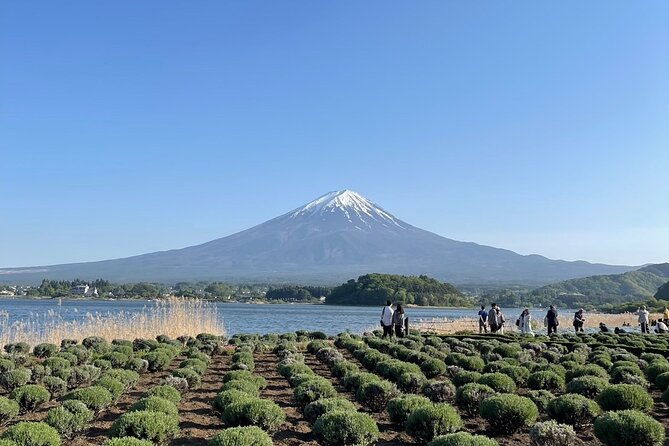 private-tour-to-mt-fuji-and-hakone-with-english-speaking-driver