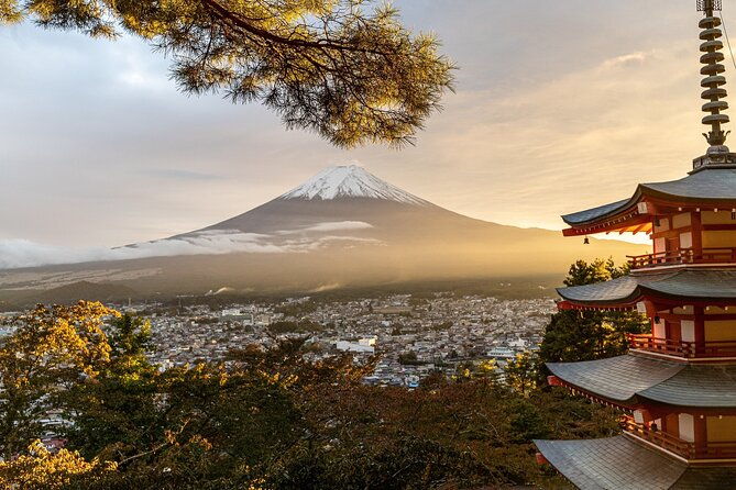 private-tour-to-mt-fuji-and-hakone-with-english-speaking-driver