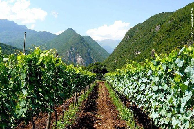 private-tour-to-mtskheta-and-georgian-wine-tasting-from-tbilisi