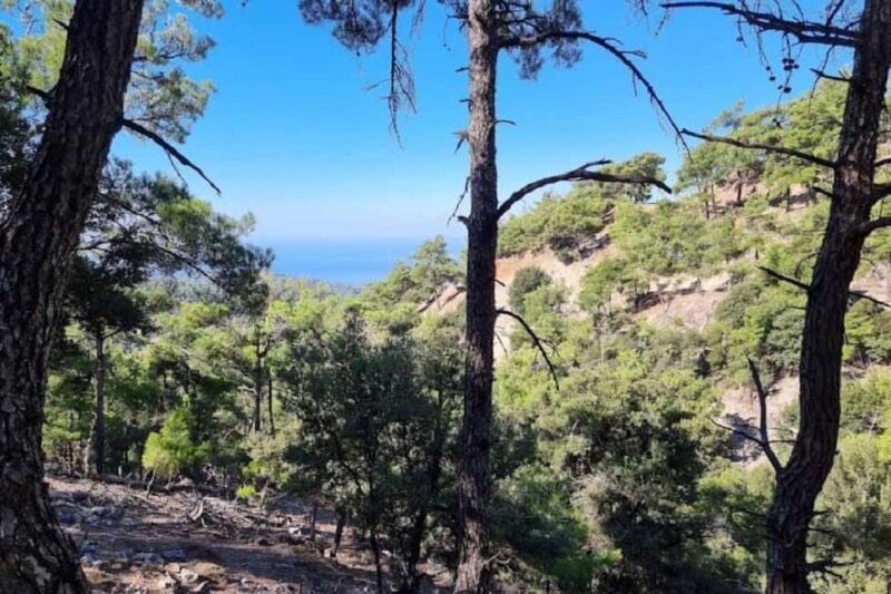 Private Tour to Myrtos Beach & Shepherd visit - A Detailed Look at the Tour Experience