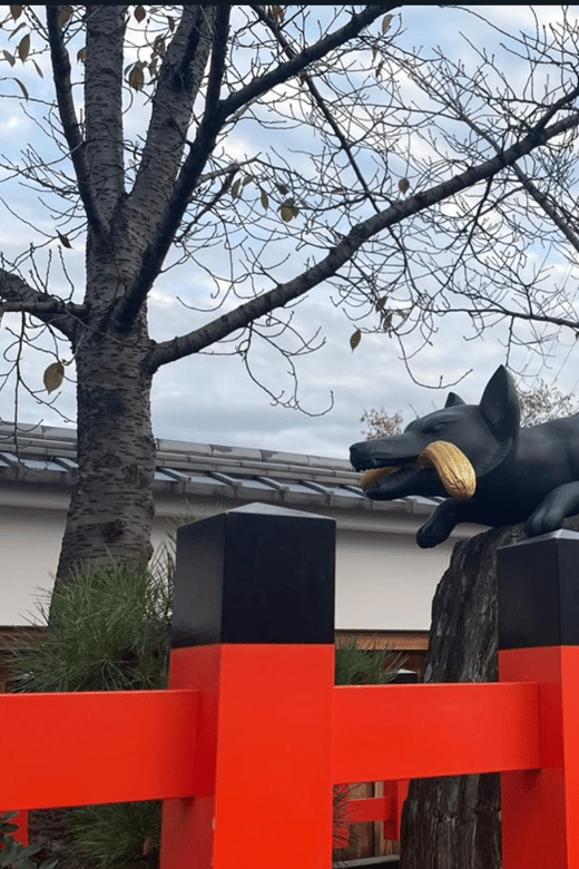 private-tour-to-nara-and-inari-with-spanish-speaking-guide