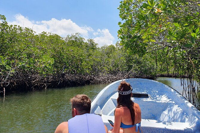 private-tour-to-paradise-island-with-snorkel-manatee-sanctuary
