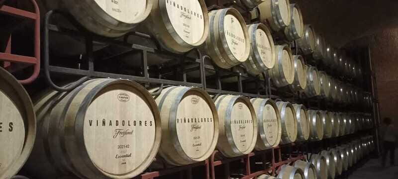 Private tour to Peña de Bernal & Freixenet Winery from CDMX - The Journey Begins: From Mexico City to the Heart of Querétaro