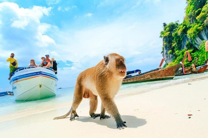 Private Tour to Phi Phi & Maya Bay & Bamboo Islands - Key Points