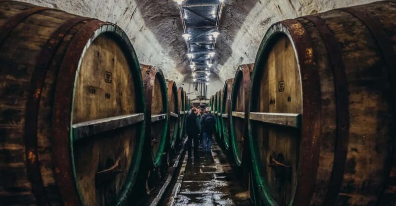 Private Tour to Pilsner Urquell from Prague - Deep Dive into the Experience