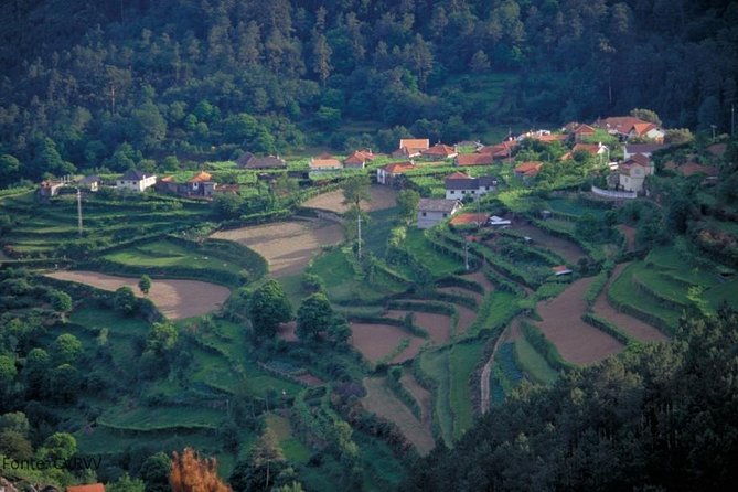 private-tour-to-ponte-de-lima-vinho-verde-region