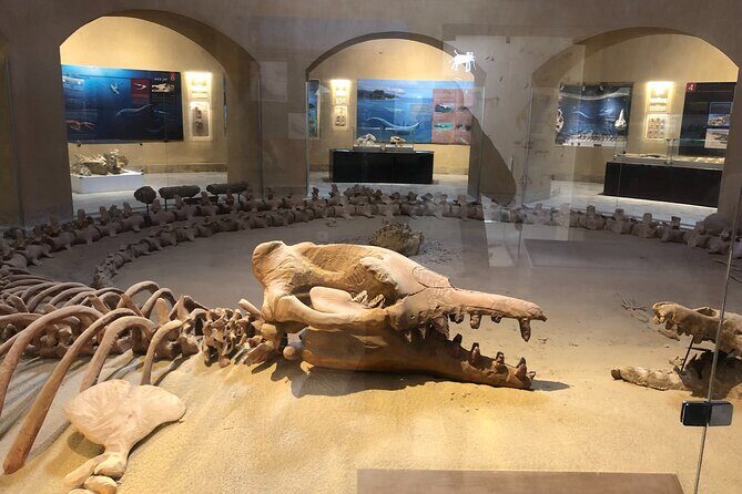 private tour to pyramids, sphinx, Egyptian museum , Local lunch - The Review Insights