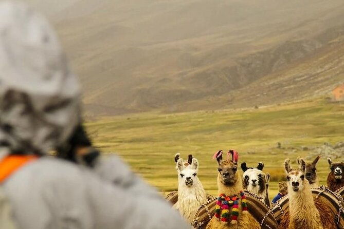 private-tour-to-rainbow-mountain-with-atv