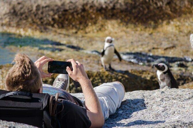 Private Tour to Robben Island and Cape Point in Cape Town - Final Thoughts: Who Is This Tour Best For?