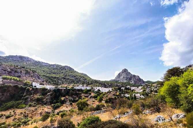 private-tour-to-ronda-from-seville-several-options