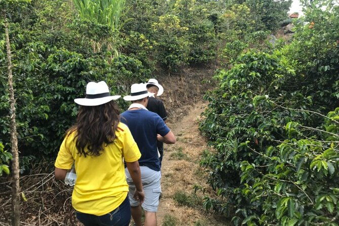 private-tour-to-santa-fe-de-antioquia-town-coffee-farm
