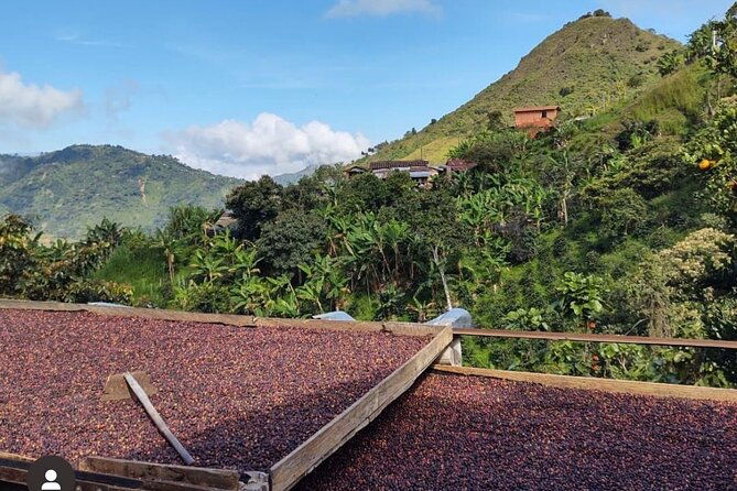 private-tour-to-santa-fe-de-antioquia-town-coffee-farm