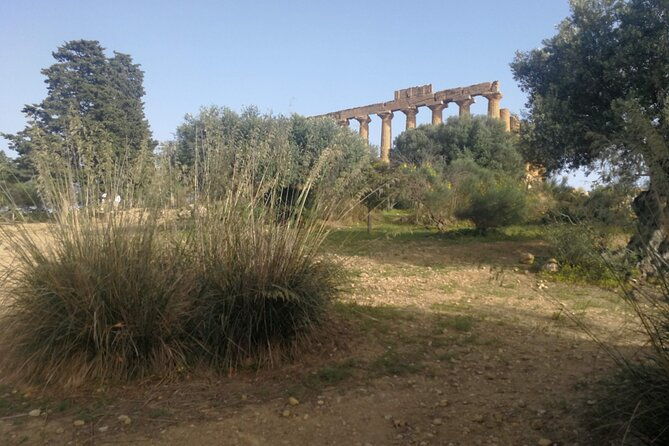 private-tour-to-segesta-erice-and-wine-tasting-in-marsala