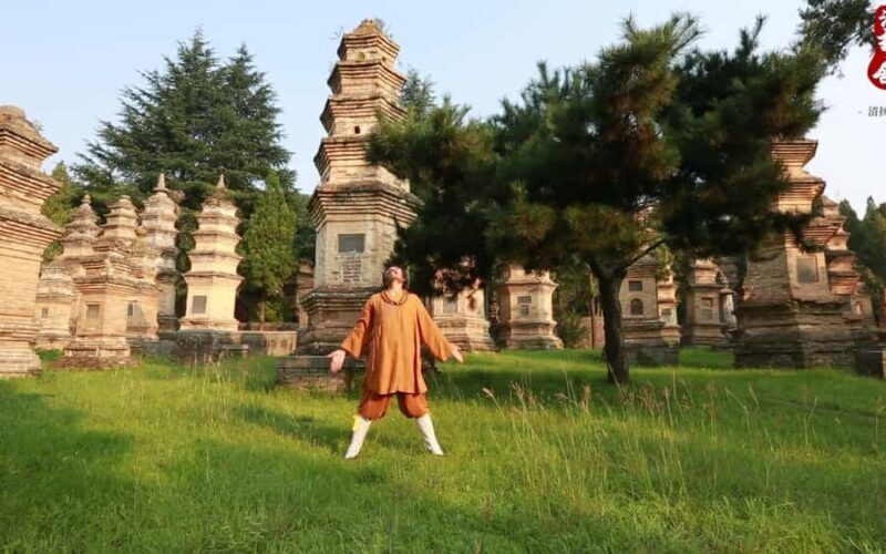 Private tour to Shaolin Temple and Longmen Grottoes - FAQs
