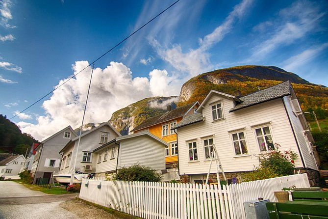 private-tour-to-sognefjord-and-flam-from-bergen-24-hr-refundable