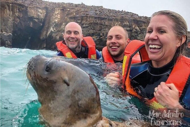 private-tour-to-spot-sea-lions-in-palomino-islands-from-lima