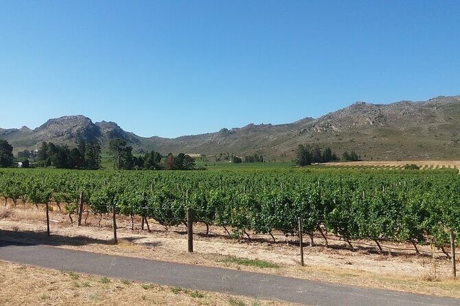 Private Tour To Stellenbosch Franschoek Wineries from Cape Town Price Per Group - Authentic Insights from Travelers