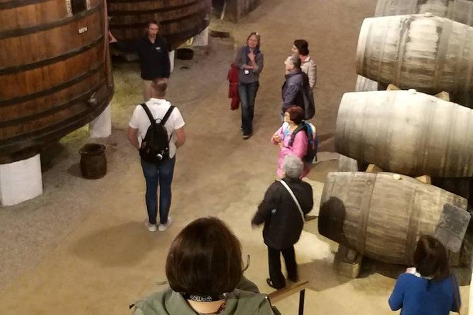private-tour-to-stunning-douro-valley-and-most-renowned-wineries-2