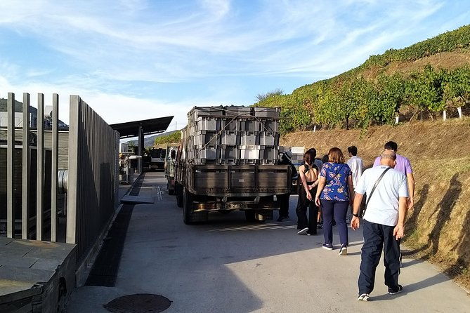 private-tour-to-stunning-douro-valley-and-most-renowned-wineries-2