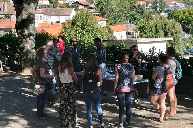 private-tour-to-stunning-douro-valley-and-most-renowned-wineries-2