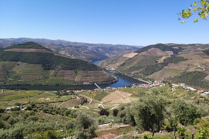 private-tour-to-stunning-douro-valley-and-most-renowned-wineries