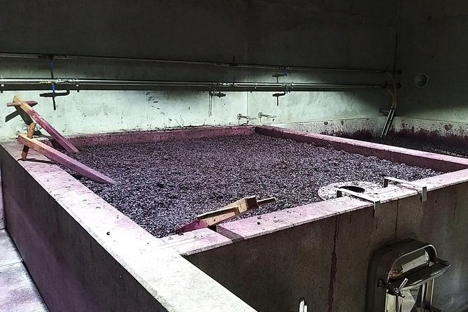 private-tour-to-stunning-douro-valley-and-most-renowned-wineries