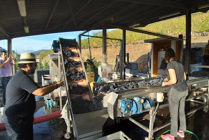 private-tour-to-stunning-douro-valley-and-most-renowned-wineries