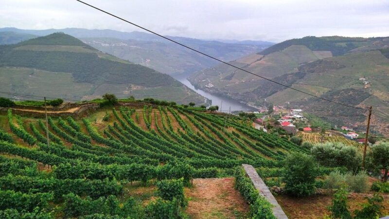 private-tour-to-stunning-douro-valley-and-renowned-wineries