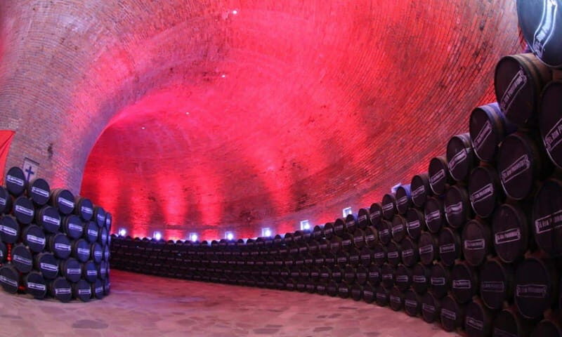 Private Tour to Tequilera Corralejo and Archaeological Zone - An In-Depth Look at the Tour Experience