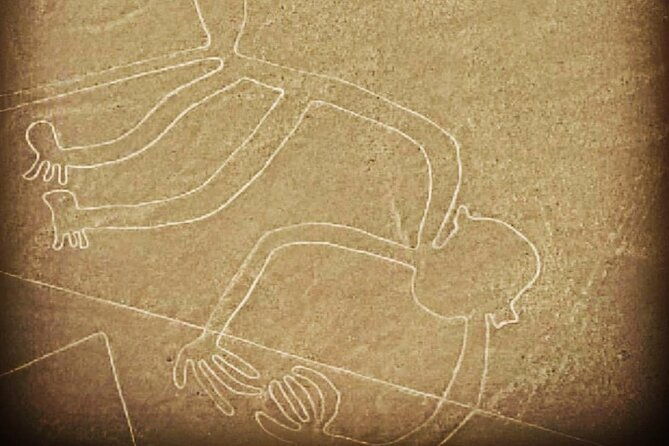 private-tour-to-the-astonished-nazca-lines-and-huacachina-oasis