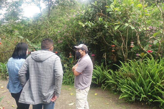 private-tour-to-the-hummingbird-reserve-and-visit-to-the-middle-of-the-world-from-quito