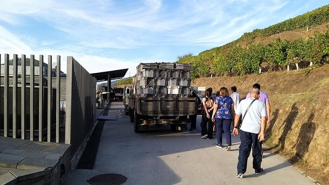 private-tour-to-the-rock-art-of-coa-park-pinhao-and-winery-2