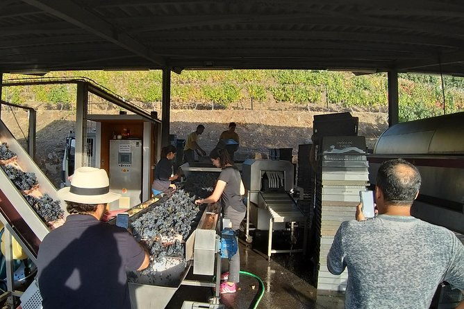 private-tour-to-the-rock-art-of-coa-park-pinhao-and-winery-2