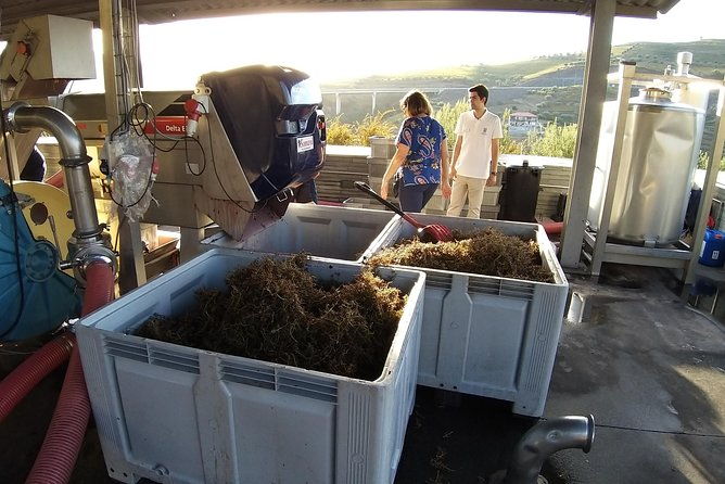 private-tour-to-the-rock-art-of-coa-park-pinhao-and-winery