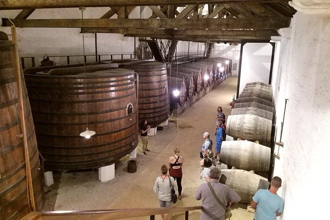 private-tour-to-the-rock-art-of-coa-park-pinhao-and-winery