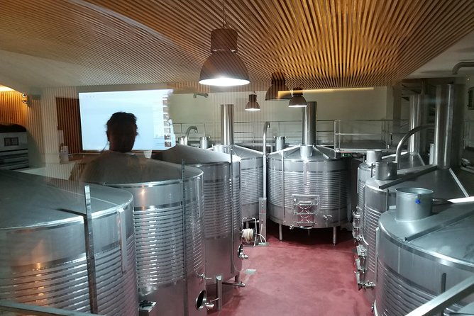 private-tour-to-the-rock-art-of-coa-park-pinhao-and-winery