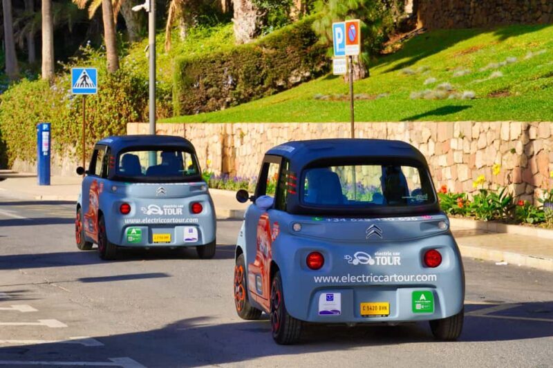Private Tour to the Roman Villa of Antiopa in Malaga by Electric Car - Practical Tips for Travelers